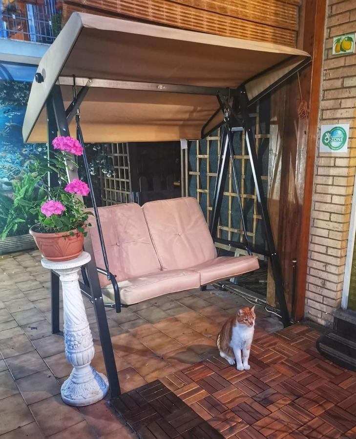 Guest House Il Limone Nascosto Roma Dış mekan fotoğraf