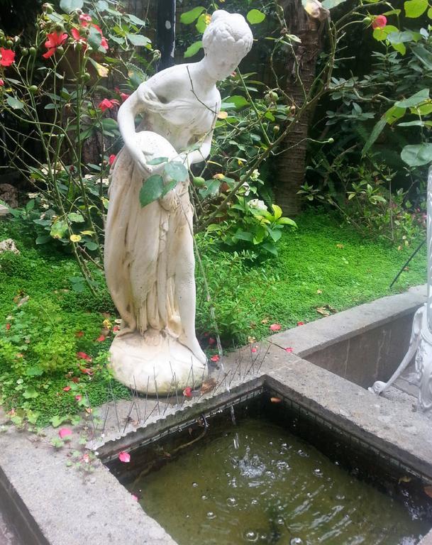 Guest House Il Limone Nascosto Roma Dış mekan fotoğraf